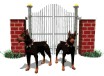 doberman_guarding_gate_md_wht_28272.gif (43258 bytes)